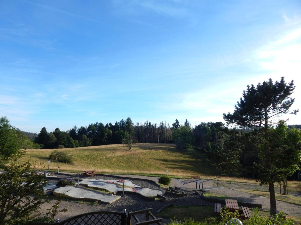 Ferienwohnung "Rodelnde Geiss" Mit Schwimmbad Braunlage Exterior photo